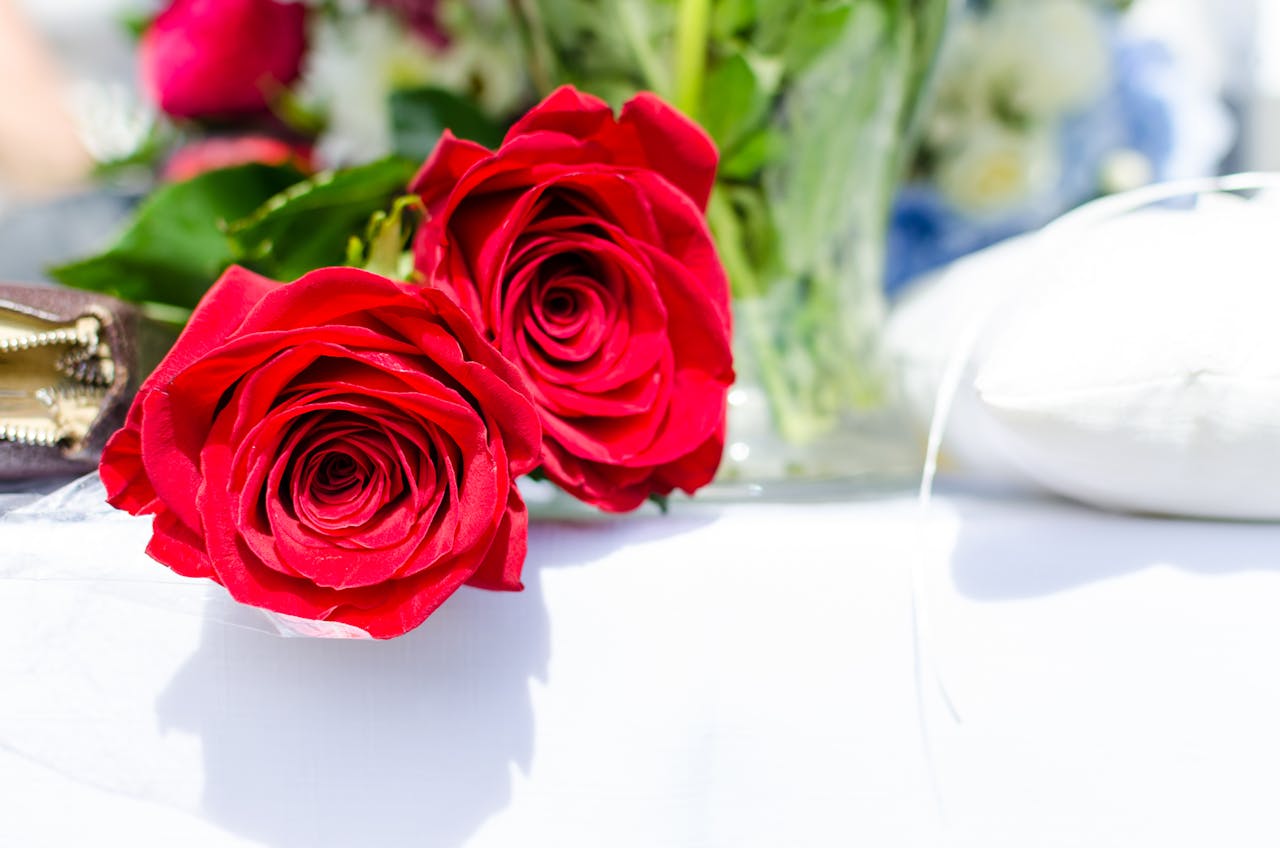 Close-up of vibrant red roses on a white table, perfect for romantic themes.