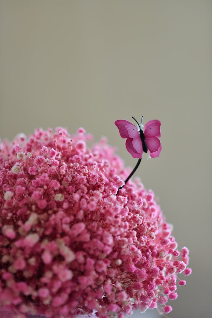 A close-up image of pink gypsophila flowers adorned with a pink decorative butterfly.
