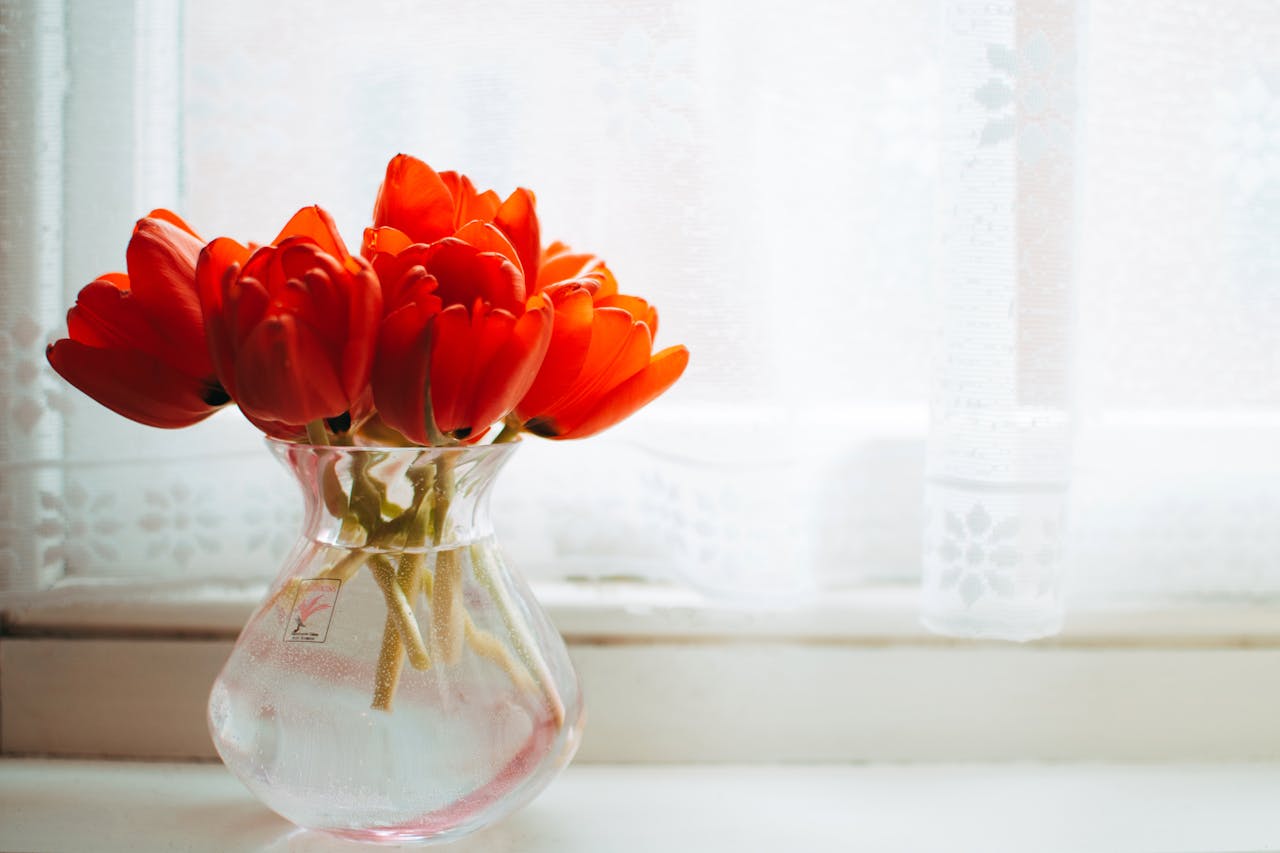 Home Beautiful bouquet of red tulips in a glass vase by the window with soft lighting.
